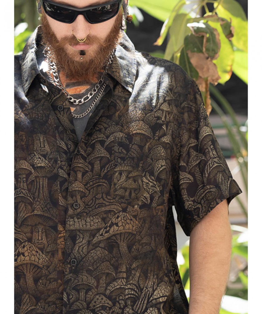 תמונה ללא תיאור